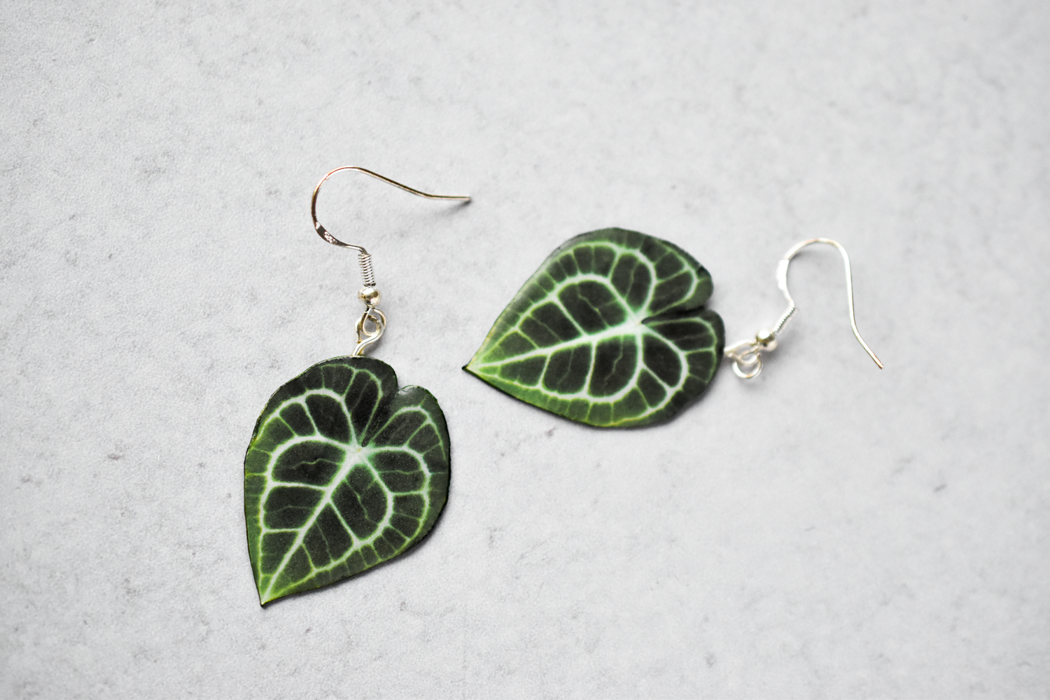 Anthurium Clarinervium Plant Earrings | Leaf Earrings