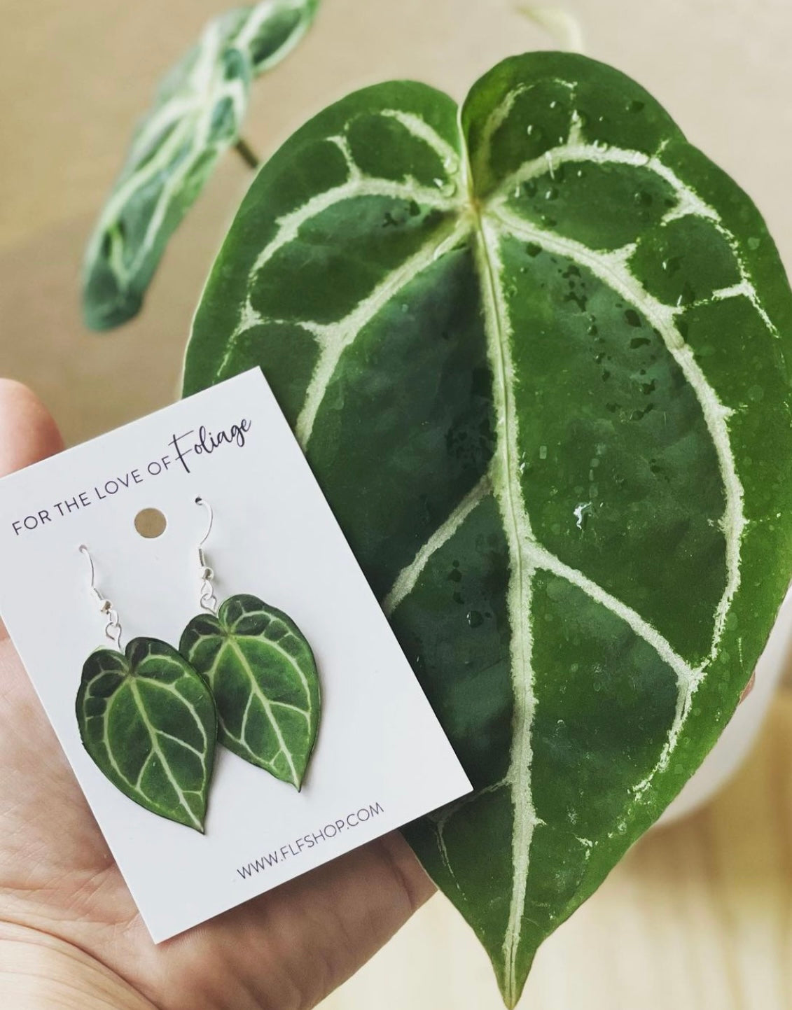 Anthurium Crystallinum Plant Earrings | Leaf Earrings