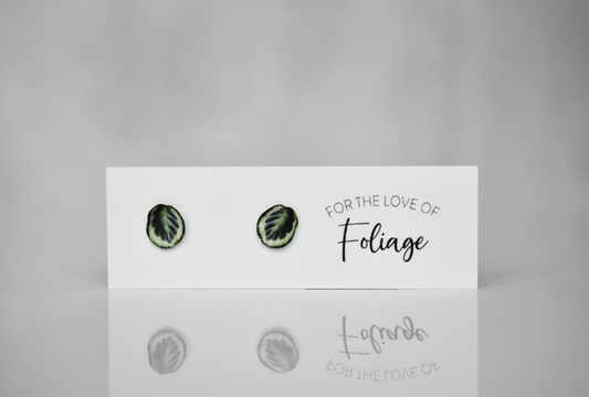 Calathea Marion Stud Earrings | Leaf Earrings