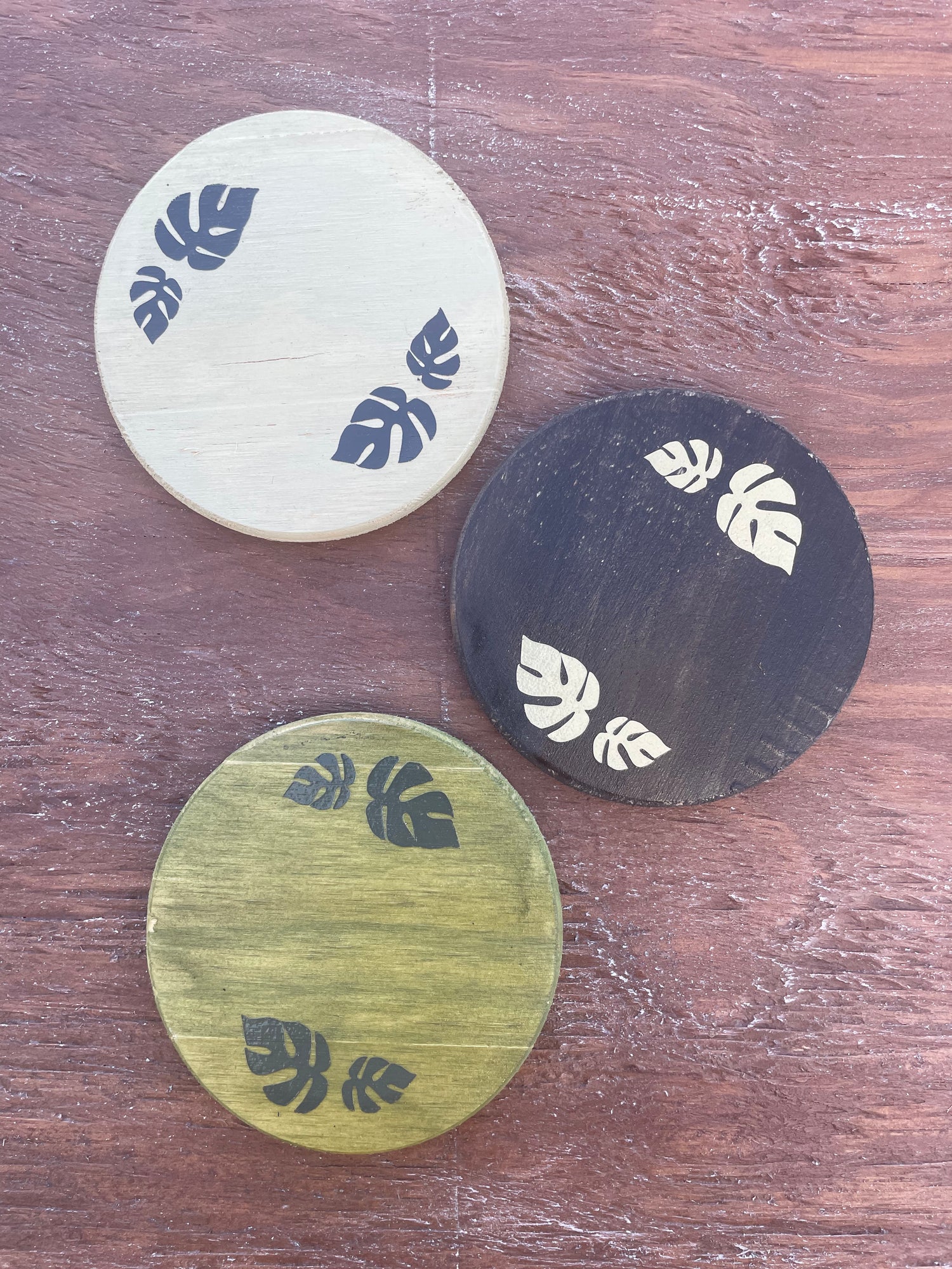 Painted Wooden Rhaphidophora Coasters