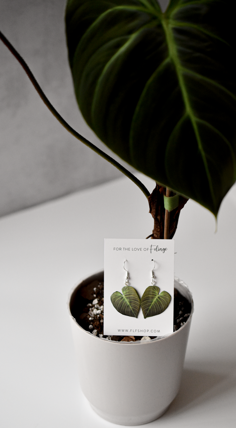 Philodendron El Choco Red || Handmade Leaf Earrings || Plant Earrings || Sterling Silver Earrings