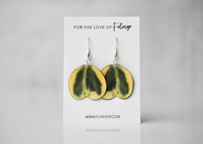 Hoya Kerrii Heart Albomarginata Plant Earrings | Leaf Earrings