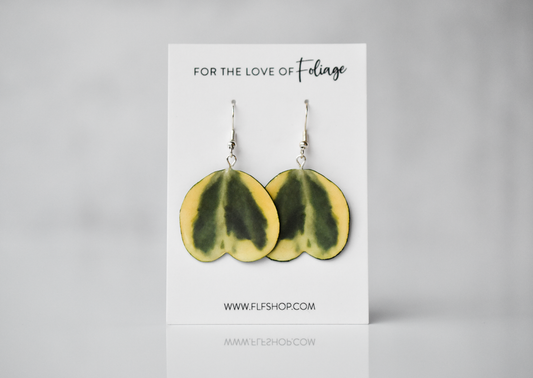 Hoya Kerrii Heart Albomarginata Plant Earrings | Leaf Earrings