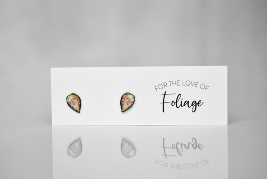 Aglaonema Favonian Stud Earrings | Leaf Earrings | Orchid Earrings