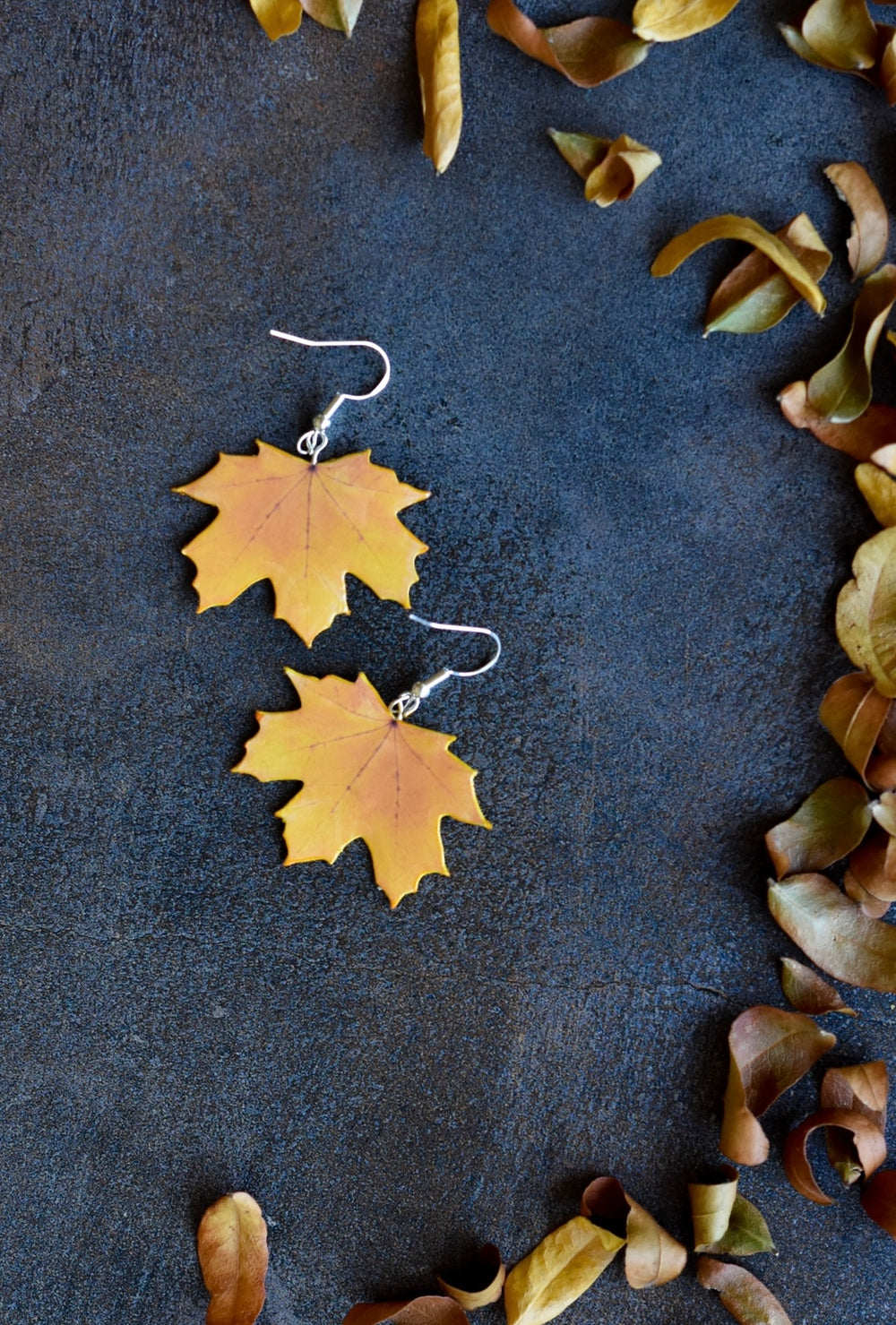 Yellow Maple Leaf Plant Earrings | Leaf Earrings