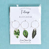 Alocasia Wine Glass Charms (3pk)